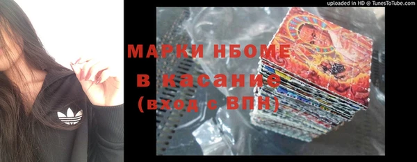 стафф Алзамай