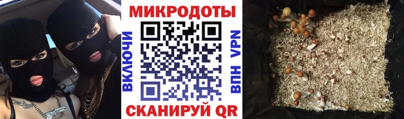 Псилоцибиновые грибы Cubensis  Пенза 